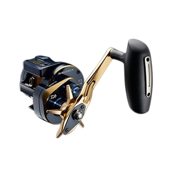 ダイワ(Daiwa) 21SALTIGA(ソルティガ) IC 300HL-SJ 左巻き 00631507