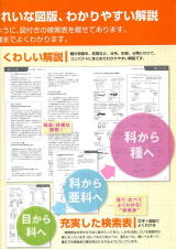 日本産直翅類標準図鑑