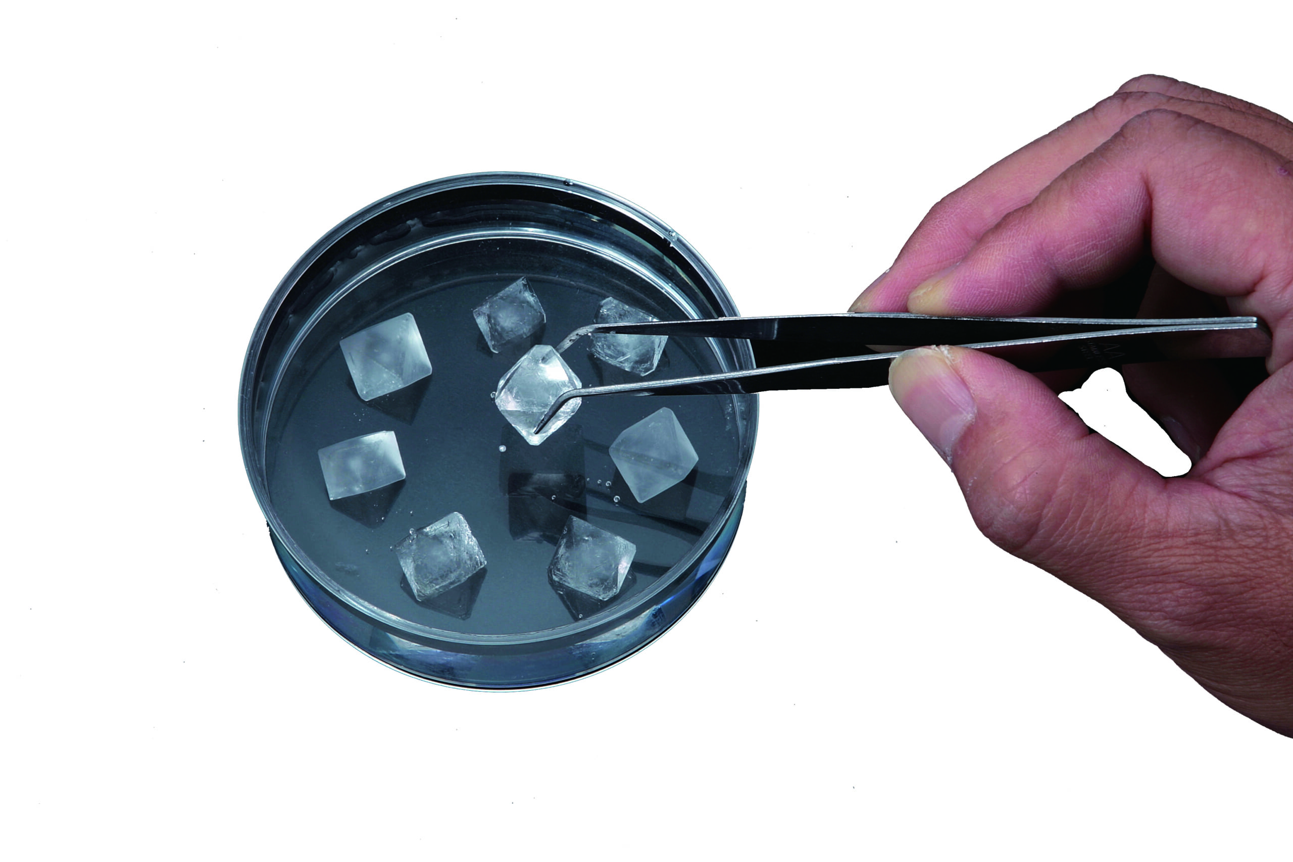 キラキラふわふわ 結晶研究所