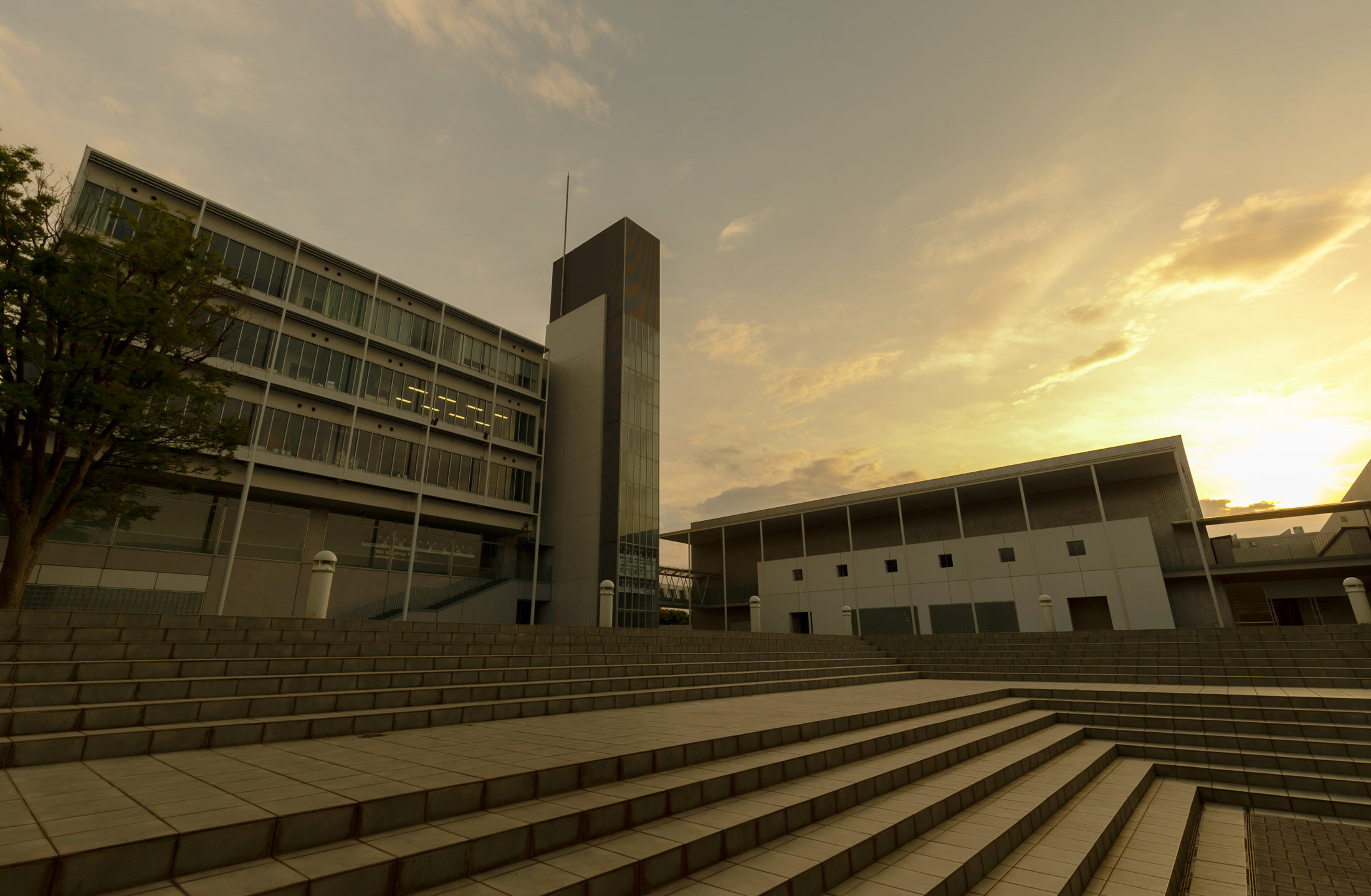 慶應義塾湘南藤沢中等部・高等部公式サイト