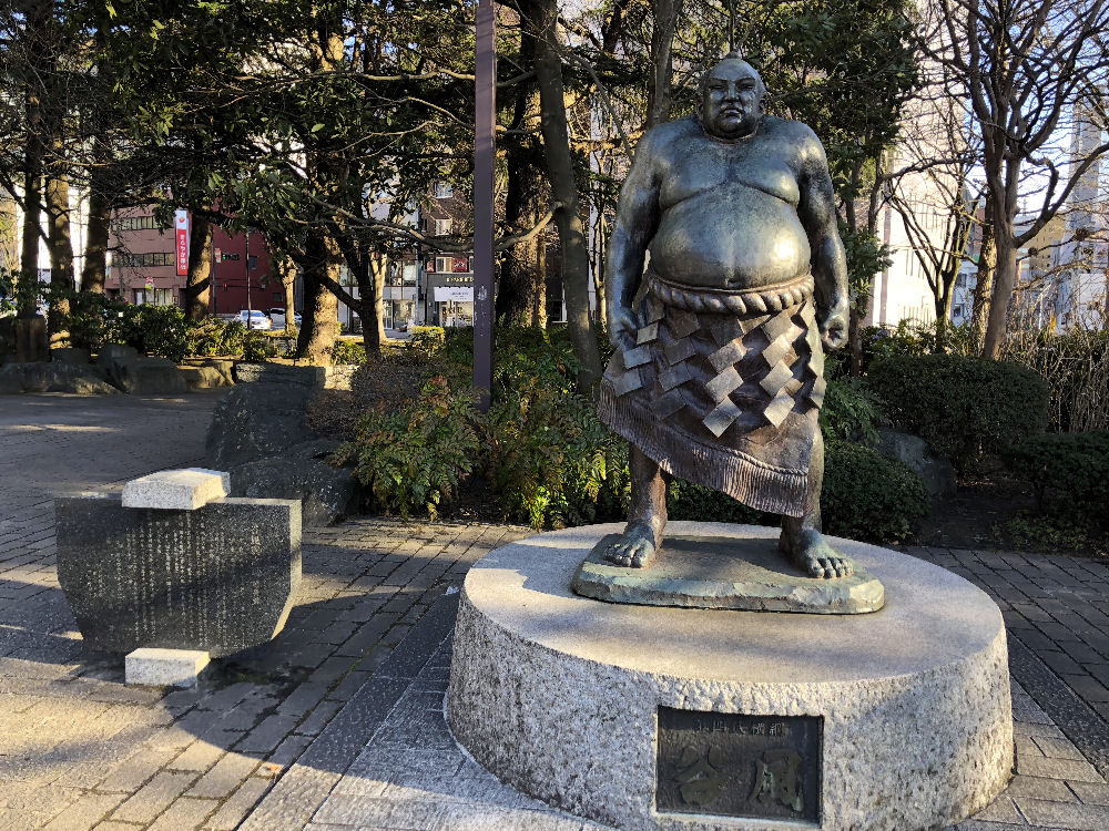 日本酒 墨廼江 すみのえ 谷風 たにかぜ 純米大吟醸 1,8L DX箱入り 宮城