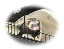 三晃商会WEBページ