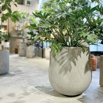 シンプルなフォルムの鉢カバー｜WEBコラム｜商品案内｜杉田エース株式会社