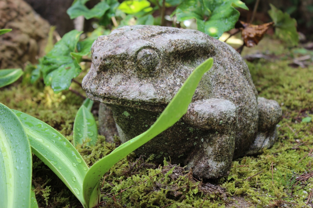 蛙の製品案内愛知県岡崎市の石灯篭・水鉢蹲など石材製品の製造販売杉田