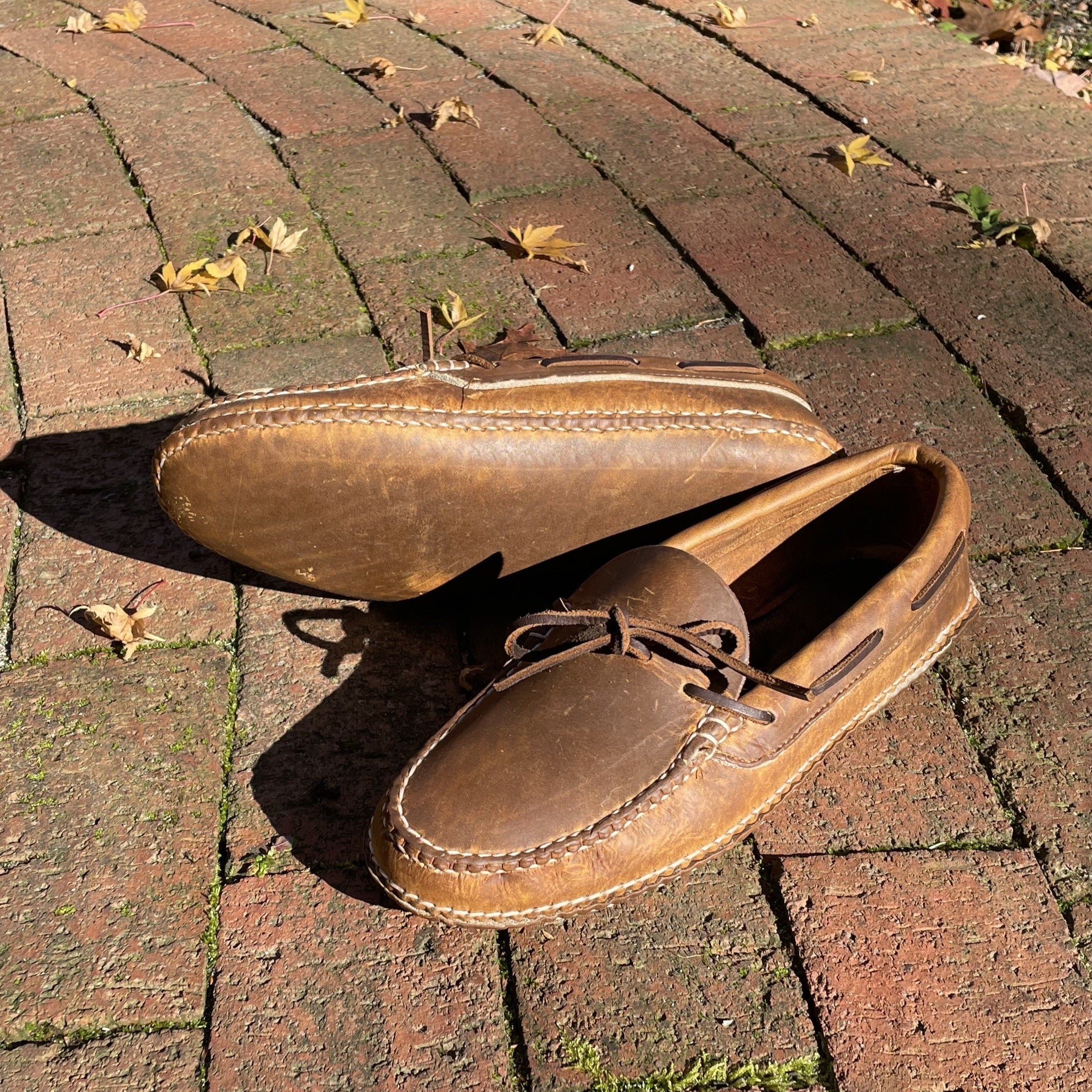 Dawson6_inPixio.jpg?v=1669912050