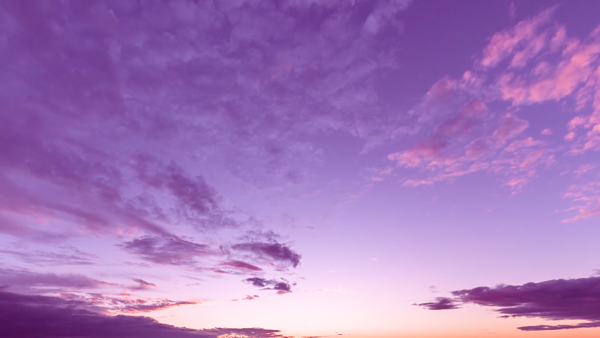 ペレグレイス マカラニ、オイル2個 ペレ・グレイス |スキンケア