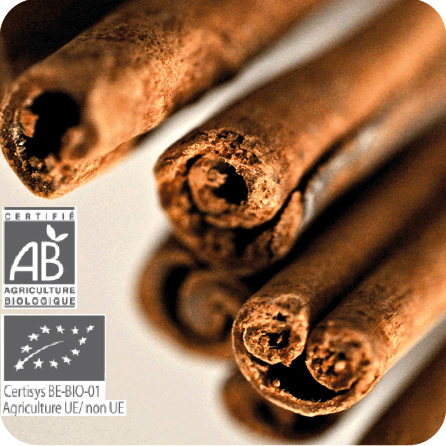 シナモン（樹皮） – プラナロム エッセンシャルオイル・精油｜健草医学舎