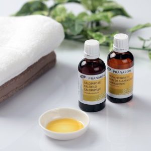 プラナロム エッセンシャルオイル・精油｜健草医学舎 – プラナロム社