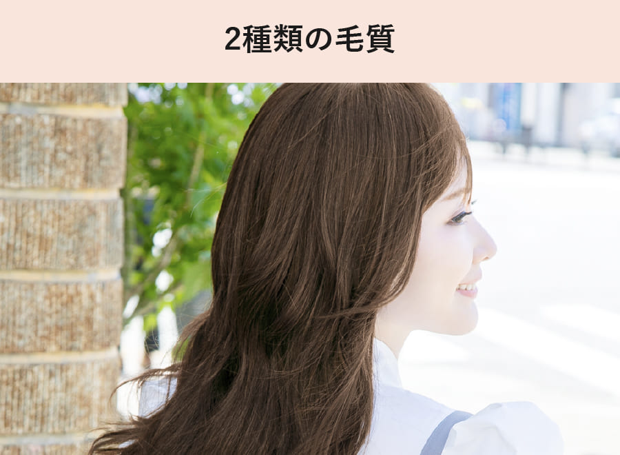 五分ウィッグ 白髪隠しウィッグ以上、フルウィッグ未満｜ウィッグと