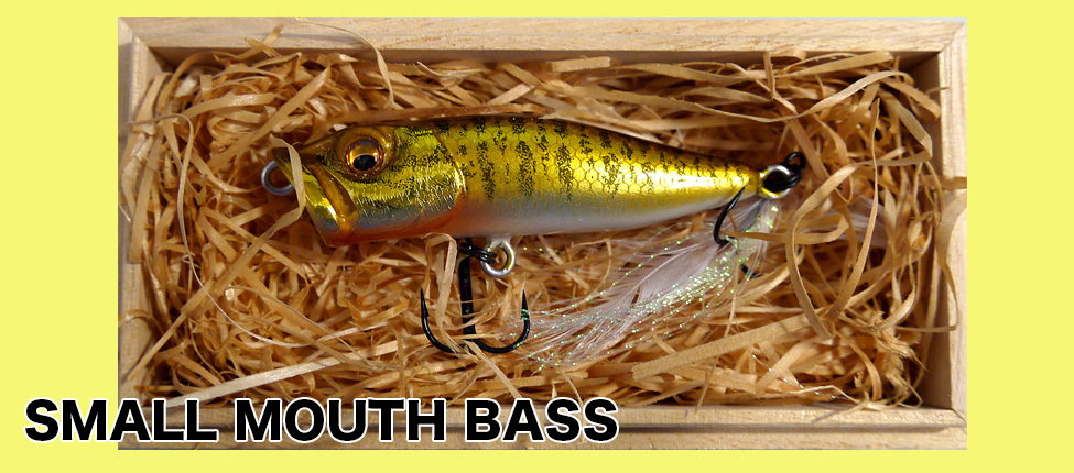 バス/バス釣り/ルアー/バスフィッシング/ルアー メガバス Coming Soon