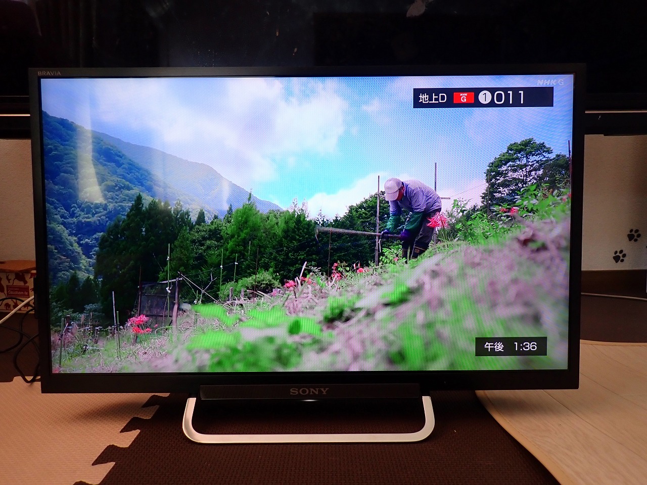 液晶テレビ SONY BRAVIA KDL-24W600A ソニー ブラビア 24インチ 24型