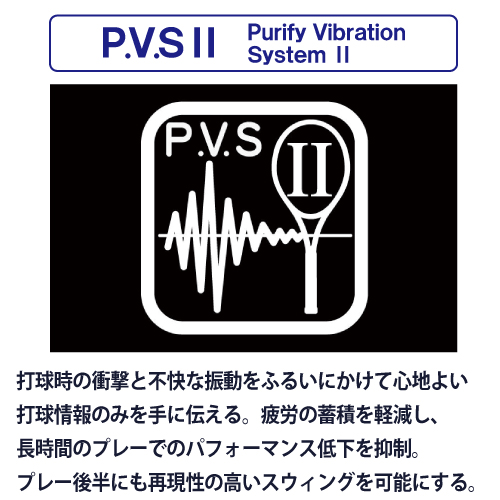 ウインザーオンラインショッププリンス prince ファントム 100