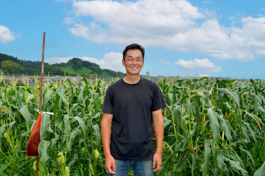 お天道農園／フルーツとうもろこし 白い恵味 約3kg(8〜12本)