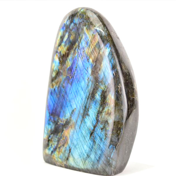 ホホジロザメ 歯 牙 化石｜サメの歯（約7.7g）｜モロッコ産