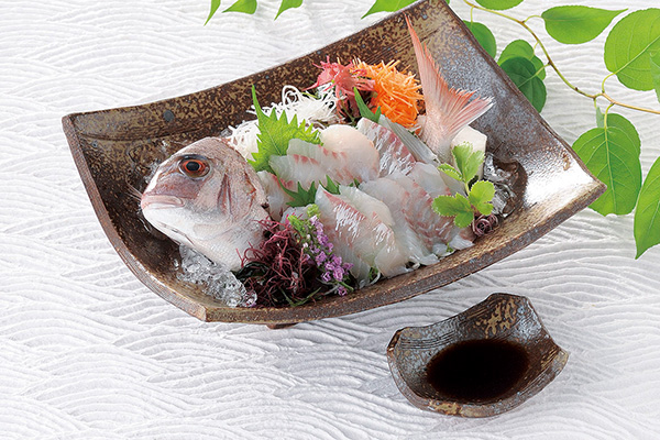 刺身皿・刺身鉢の通販|食器のセール・購入なら陶磁庵