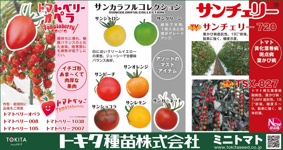 日本農業新聞保存版夏秋取りトマト特集でサンチェリー、トマトベリー