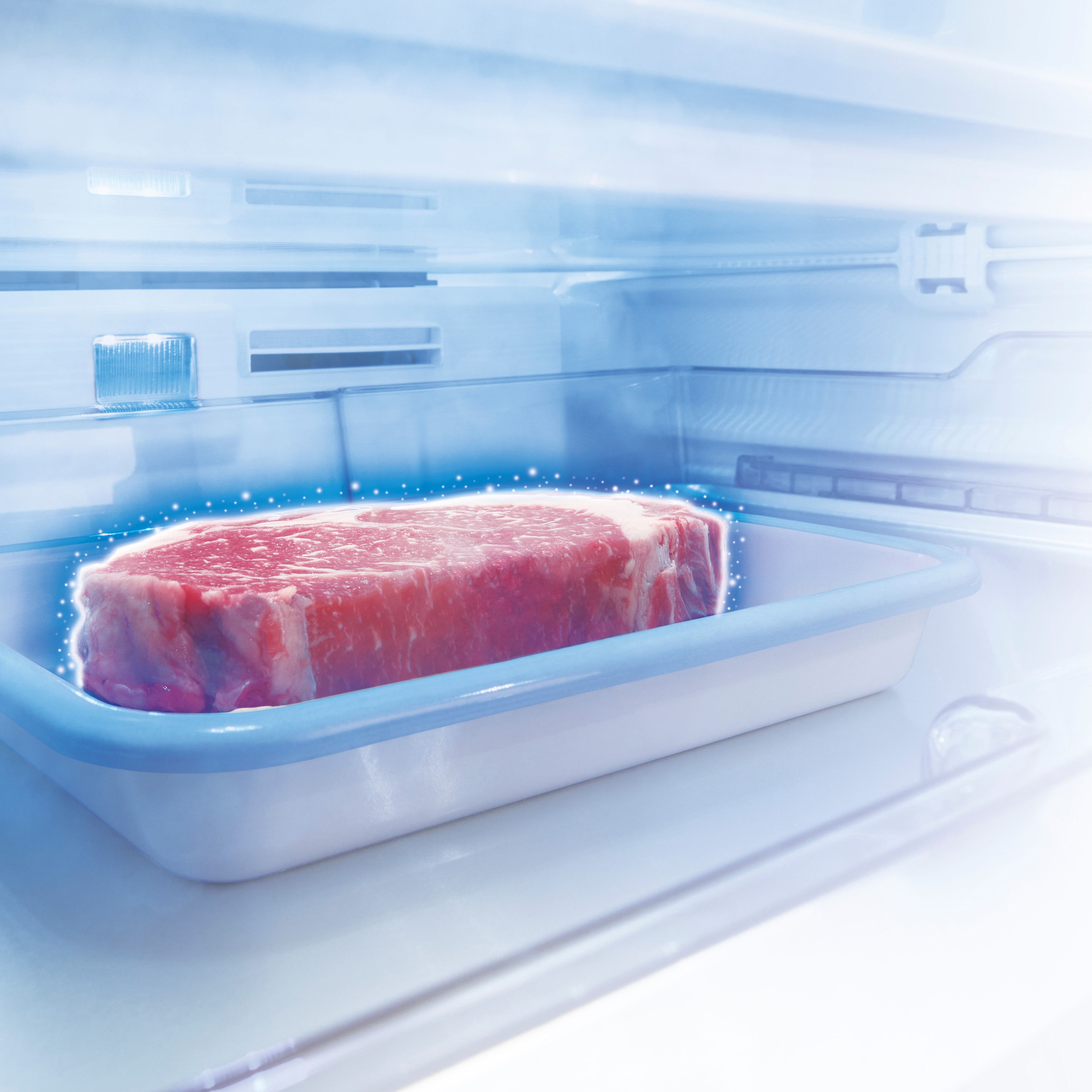 GR-V510FZ | 冷蔵庫 | 東芝ライフスタイル株式会社