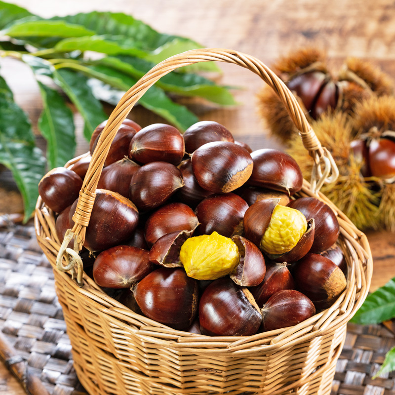 3kg ぽろたん(生栗)【双松庵唯七 公式本店】