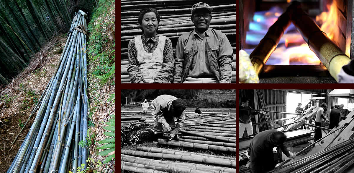 一点限り】 渡辺竹清作 虎竹花器 燈明 | 虎斑竹専門店 竹虎