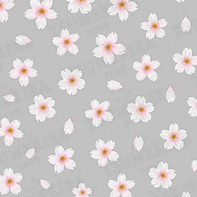 ネイルシール ツメキラ/レジンシール レジンクラブ / さくら10