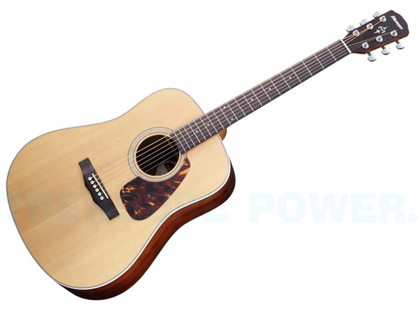 MORRIS＊ モーリス M-401/NAT Acoustic Guitar アコースティックギター