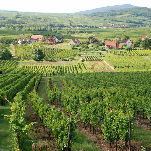 ボエケル・ゲヴュルツトラミネール