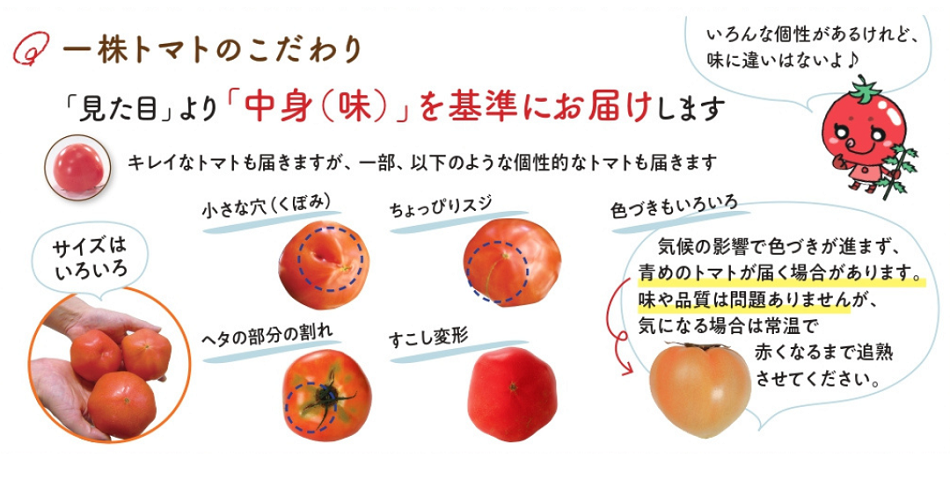 今年で42年目☆＞産直一株トマト 予約受付中！ | 生協からのお知らせ