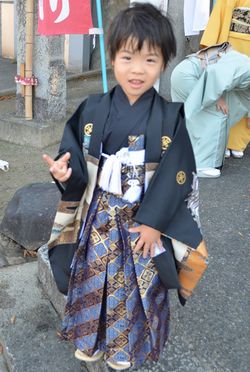 七五三 男の子 袴セット 着物 羽織 カテゴリ商品一覧｜お宮参り着物