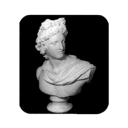 石膏デッサン 大胸像 アポロ | ゆめ画材