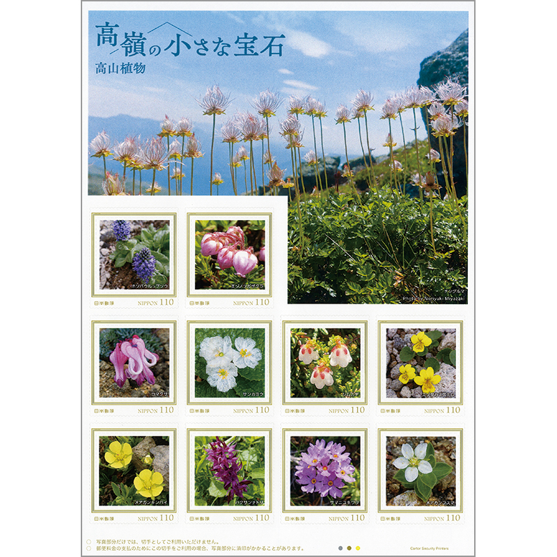 切手・趣味の通信販売｜スタマガネット 高嶺の小さな宝石 高山植物