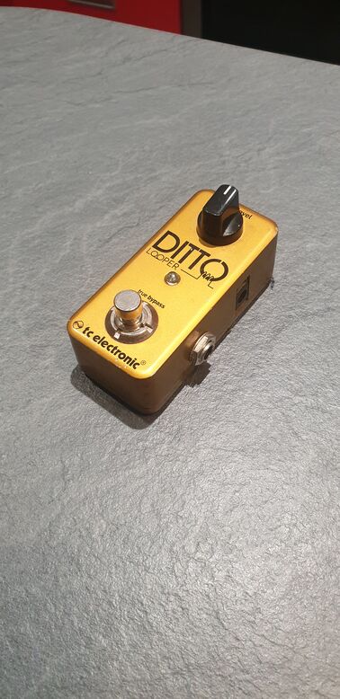 TC electronic ditto looper gold limited d'occasion - Zikinf