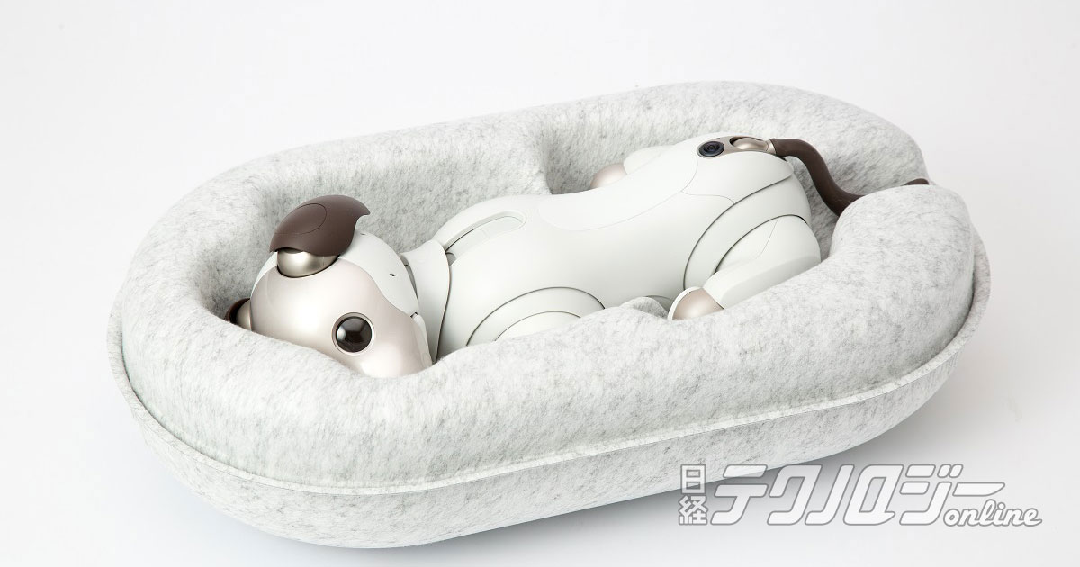 aiboが編集部にやって来た！「お迎えの儀」はドタバタ（2ページ目