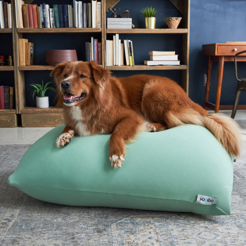 公式】Yogibo Mini（ヨギボー ミニ） | Yogibo公式オンラインストア