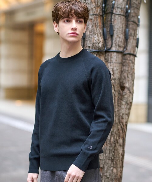 DRESSTERIOR（ドレステリア） セーター ニット 「Safari12月号掲載