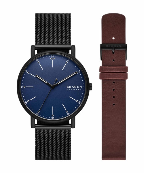 SKAGEN（スカーゲン） 腕時計 腕時計 メンズ アナログ ステンレス