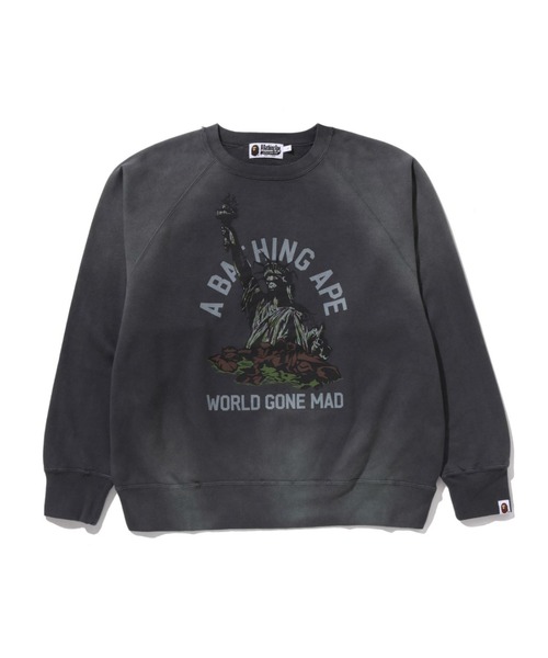 A BATHING APE（アベイシングエイプ） トレーナー スウェット DESTROY