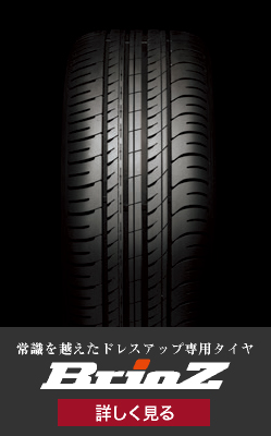 Z-REX【ゼスティノ ゼットレックス】