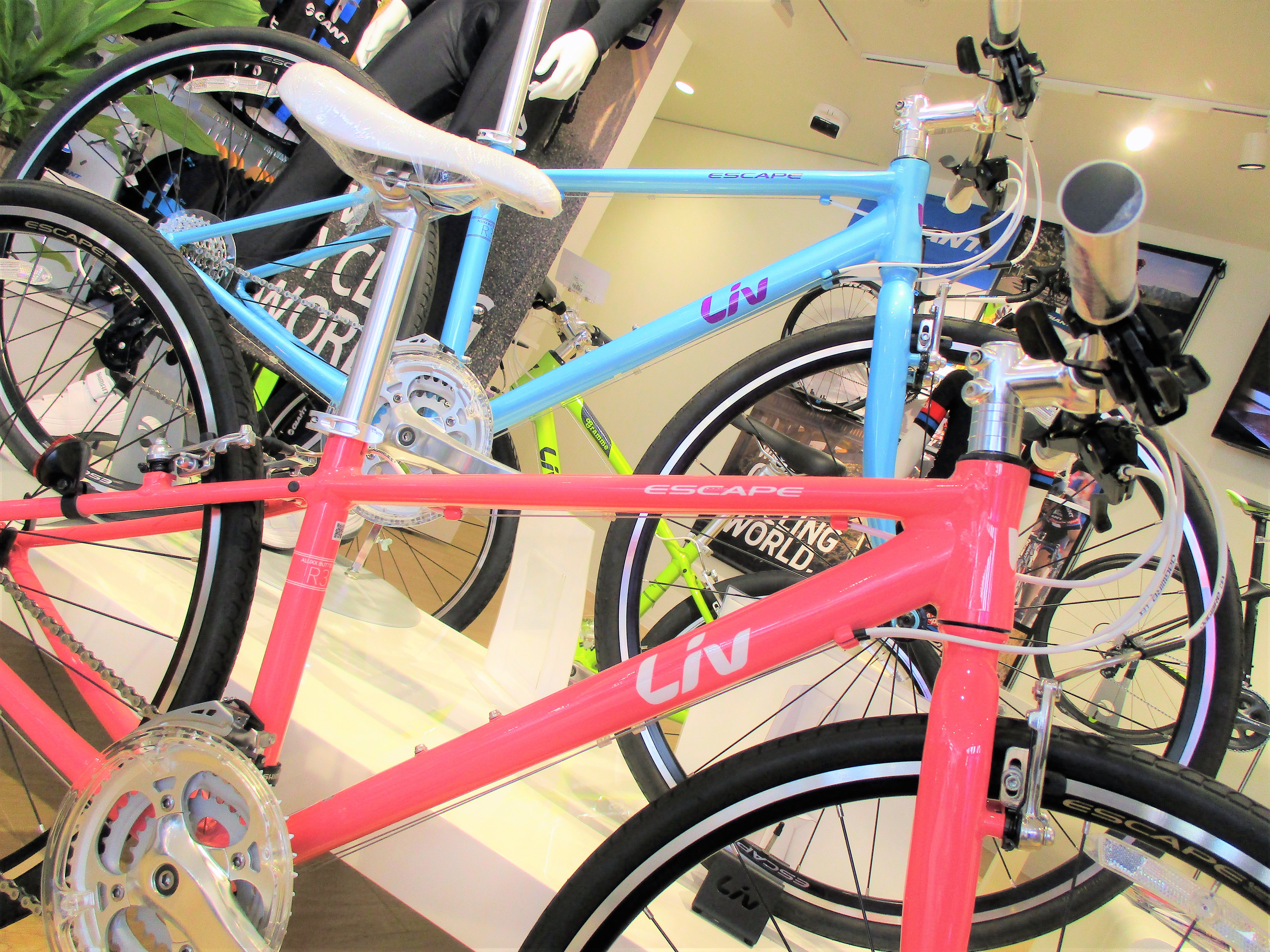 GIANT・Liv】スポーツバイクに乗ろう！～クロスバイク編