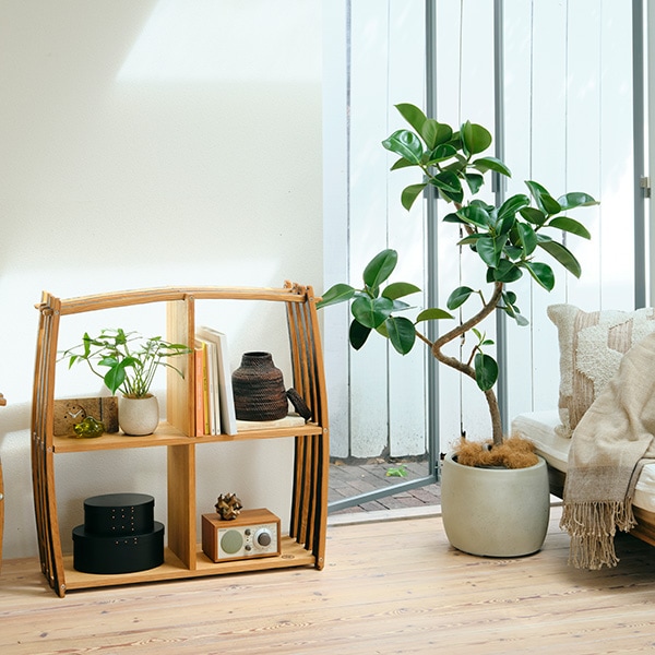 バレルラック 収納 サントリー樽ものがたり