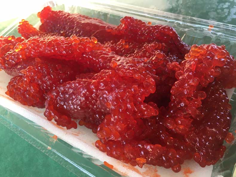 塩筋子2k たらこ切れ2k kazu 塩筋子2k たらこ切れ2k kazu 塩筋子2k