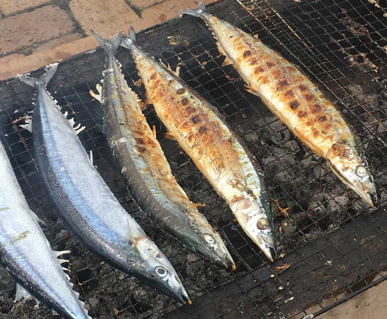 極上三陸気仙沼生さんま120g以上/20尾 | さんま | 東北うまいもの市場