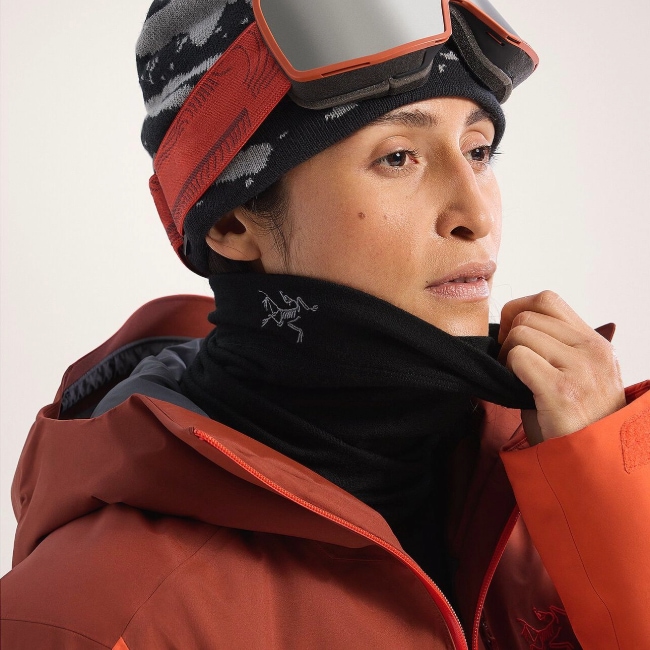 アークテリクス ARC'TERYX ローライトウェイトウールネックゲイター