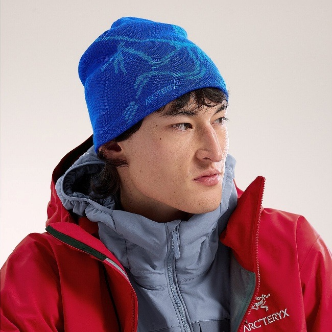 アークテリクス ARC'TERYX バード ヘッド トーク | GLAGH グラフ