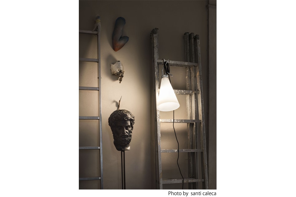 数量限定】May day Anniversary Limited（メイデイ 限定モデル