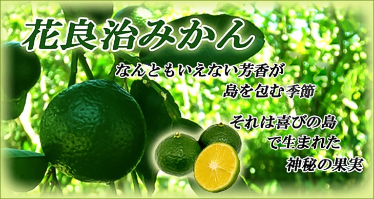 花良治(けらじ)みかん［B品］＜ダンボール箱入り＞【1.3～1.5kg