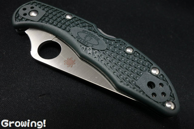 ナイフショップ グローイング！□Spyderco【スパイダルコ】□ デリカ4