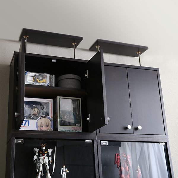 コレクションラック 浅型ハイタイプ(専用上置き) 奥行き19cm palace