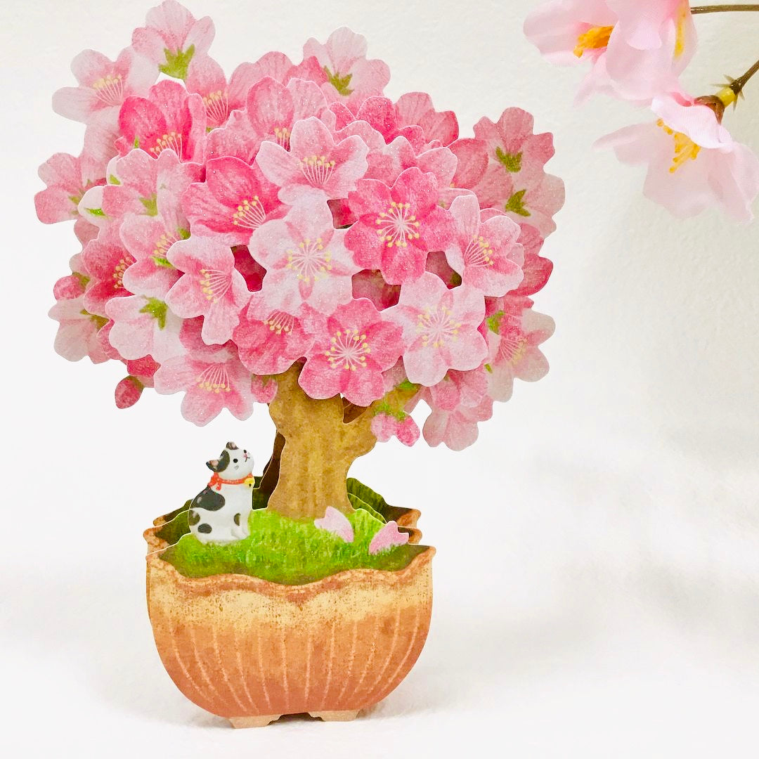 桜盆栽Ⅱ【春柄立体グリーティングカード】 – 日本ホールマーク公式