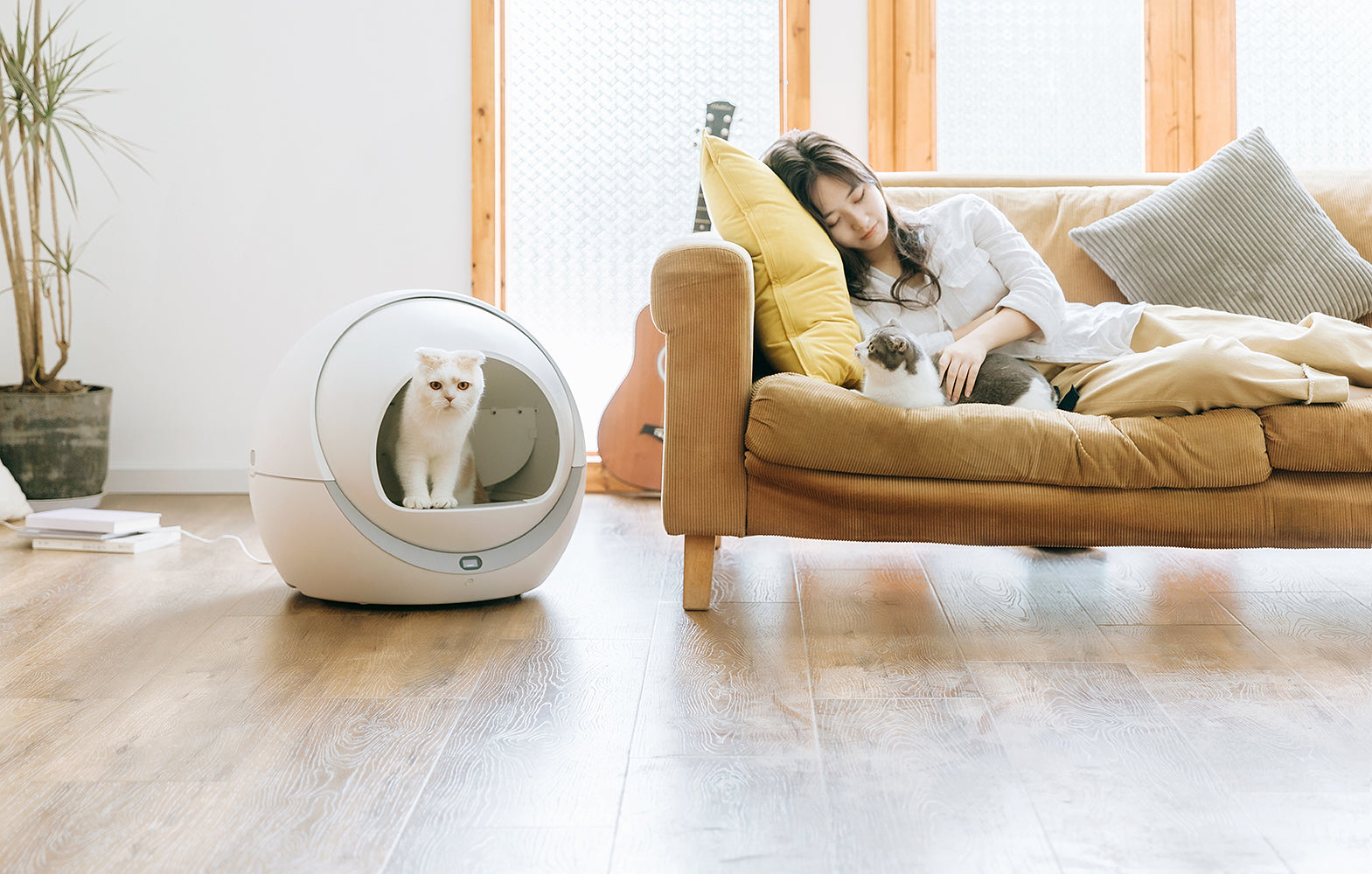 PETREE(ペッツリー)自動猫トイレならハピポート