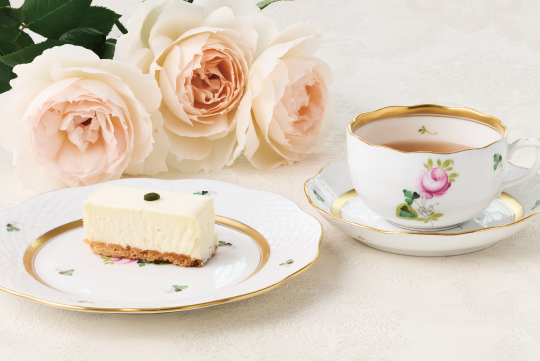 アポニー・グリーン] オーバルディッシュ